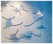 Forming Sculptured Glass Australia