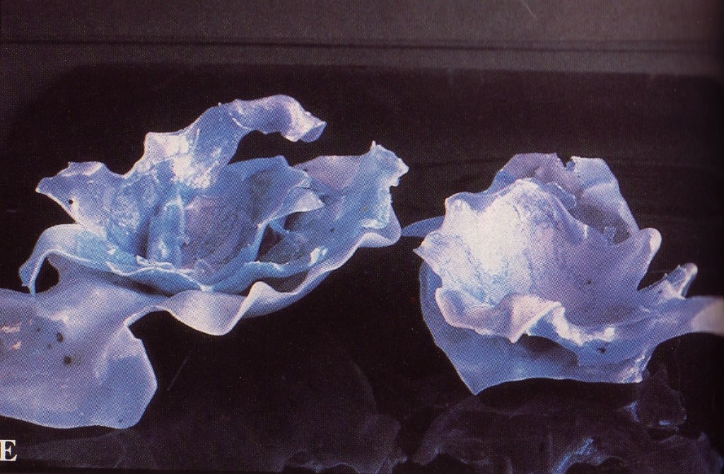 Pate de verre glass slumping